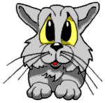 Unsere Katzen